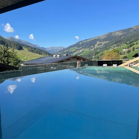 Apartment Gappmaier Saalbach